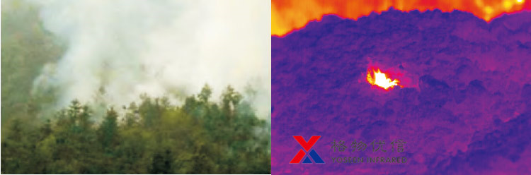 forest fire thermal camera uva