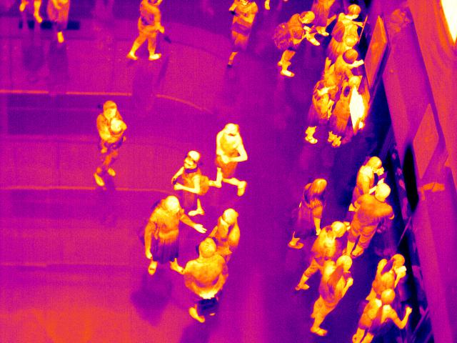 infrared thermal imaging