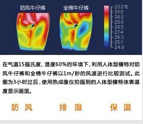 Thermal Performance of Clothing